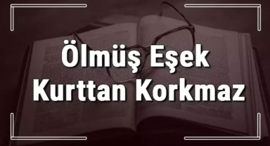 Ölmüş Eşek Kurttan Korkmaz