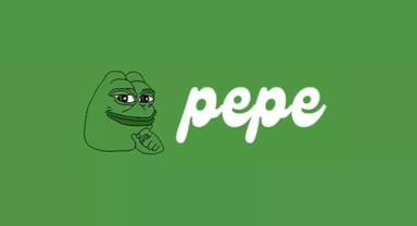 Pepe Coin Nedir? Pepe Coin Ne İş Yapar?