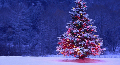 Yılın Son Günü Yılbaşı