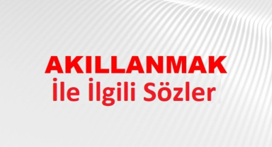 Akıllanmak İle İlgili Sözler