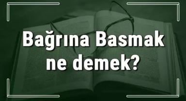 Bağrına Basmak Anlamı ve Örnek Cümle