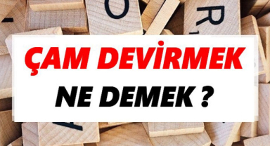 Çam Devirmek Ne Demek