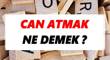 Can Atmak Deyiminin Anlamı