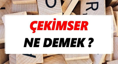 Çekimser Ne Demek?