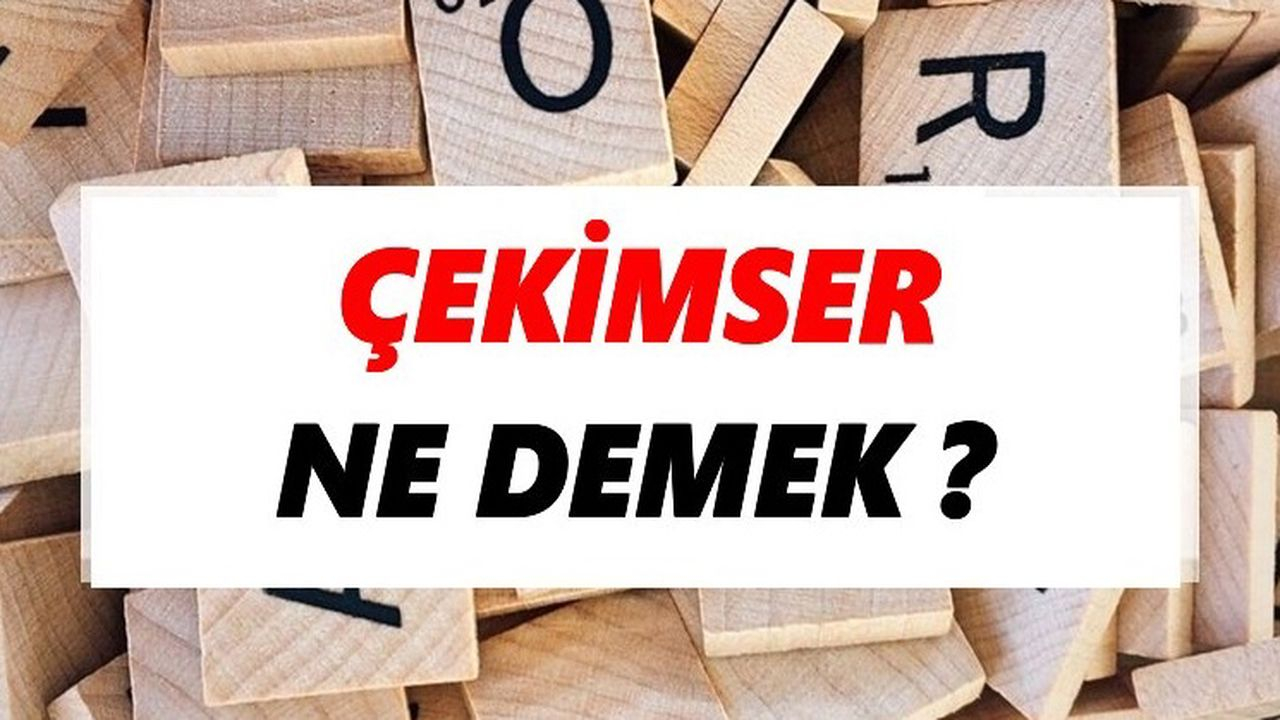 Çekimser Ne Demek?