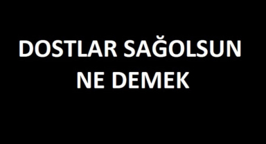 Dostlar Sağolsun Ne Demek?