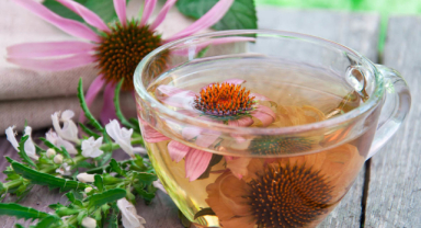Ekinezya Çayı Nedir? Ekinezya Çayının Faydaları Nelerdir?