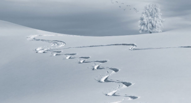 Kar İle İlgili Sözler