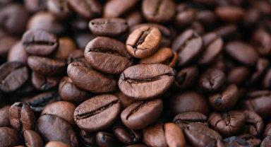 Kopi Luwak Dünyanın En Pahalı Kahvesi