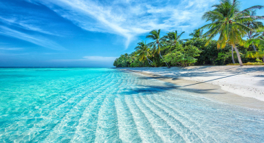 Maldivler Tropikal Cennet