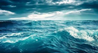 Okyanus İçin Sözler