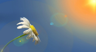 Sabah İle İlgili Sözler