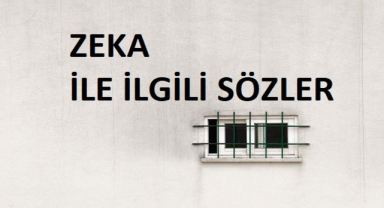 Zeka Sözleri