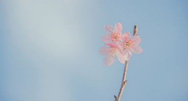 Akışına Uygun Olaylar, Sen Rutinini Bozduğun Zaman Ortaya Çıkar