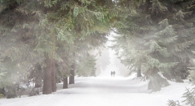 Bi Umudu Beklentisi Olana Zordur Gideni İzlemek
