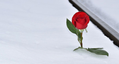 Bize Tam Sevinmek Yok Neolitik Çağdan Beri