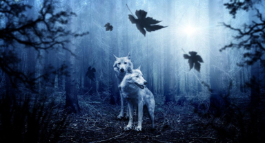 Çernobil'de Kansere Dirençli Kurtlar İnsanlar için Umut Işığı mı?