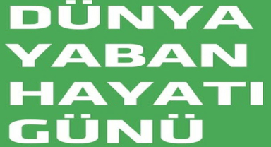 Dünya Yaban Hayatı Günü Farkındalık ve Eylem Zamanı