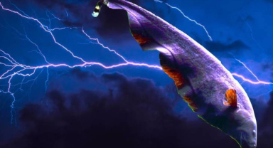 Elektrikli Yılan Balığı Elektrik Üretimi ve Etkisi