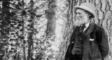 John Muir Sözleri