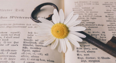 Kelimeler Benimle Uğraştıkları Kadar Sizi Rahatsız Etmiyorlar