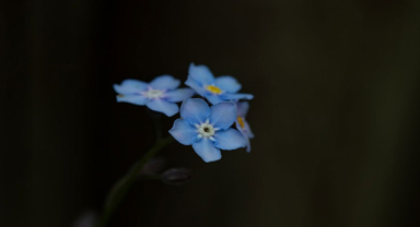 Niyetle Kısmet Arasındaki Kuranere Yaşamak Diyoruz
