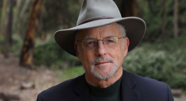 Richard Louv Sözleri