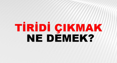 Tiridi Çıkmak Ne Demek
