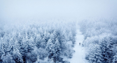 Yanınızda Başkaları Olduğunda da Yalnız Değil Miyiz Aslında