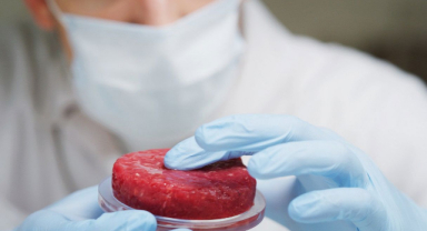 Yapay Et Projesi Nedir?