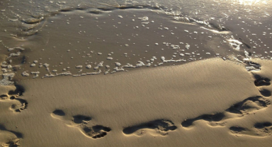 Yaşamakla Savrulmak Arası Bir Yol Tutturdum