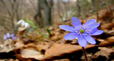 En Yakınlarımızı Ne Kadar Tanıyoruz ki?
