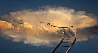 Feleğin Bize Müsadesi Yok