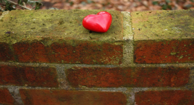 Gönlünden de Başka Hasar Yok