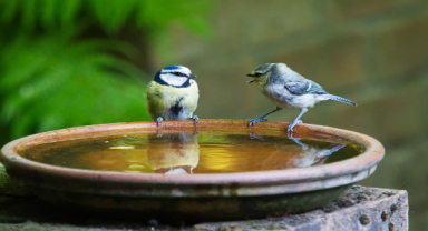 Herkesi Kendisinden Dinlemek En İyisidir