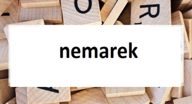 Nemarek Kelimesinin Anlamı ve Kullanımı