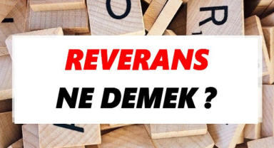 Reverans Ne Demek? Reverans Nasıl Yapılır?