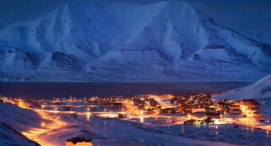 Svalbard Buzullar Üzerinde Bir Yaşam