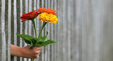 Aşkı İçin Gururundan Geçen Her Şeyden Geçer