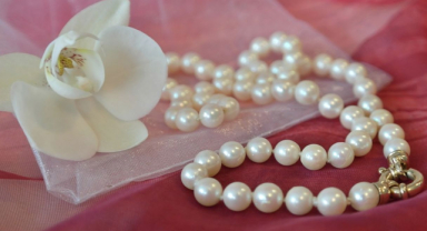 İnsanlar Dizili İnciden Bir Kolyede