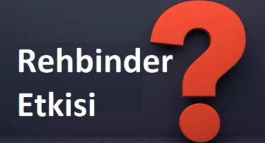Rehbinder Etkisi