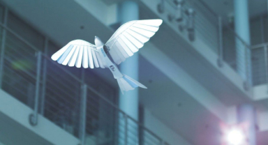 BionicSwift: Yapay Kırlangıç