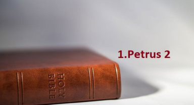 Kutsal Kitap 1.Petrus 2