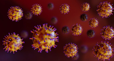 Myxomatosis Virüsü Nedir? Belirtileri, Bulaşma Yolları ve Tedavisi