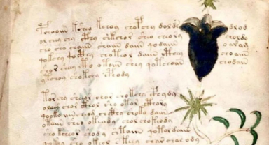 Voynich Elyazması'nın Gizemi