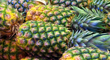 Ananas İle İlgili Sözler