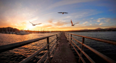 Anlamsızlığın Sessizliği