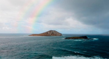 Aşağı Bakarsan Asla Gökkuşağı Bulamazsın