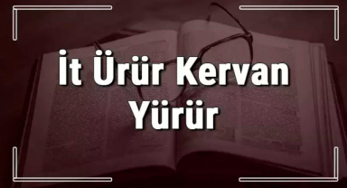 İt Ürür Kervan Yürür