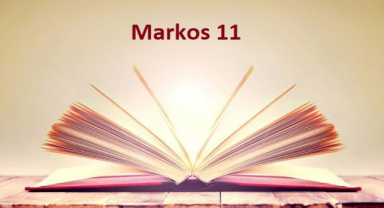 Kutsal Kitap Markos 11